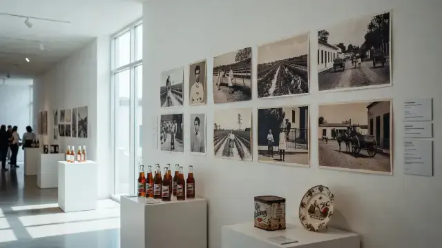 Trinity College Professor's Puerto Rico Exhibition Opens at MASP in São Paulo